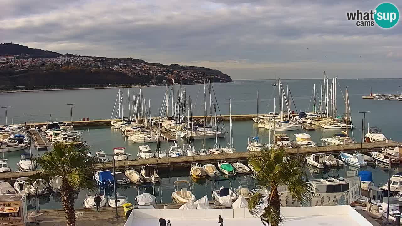 Webcam Koper – Panorama of the marina and promenade from the Grand Hotel Koper