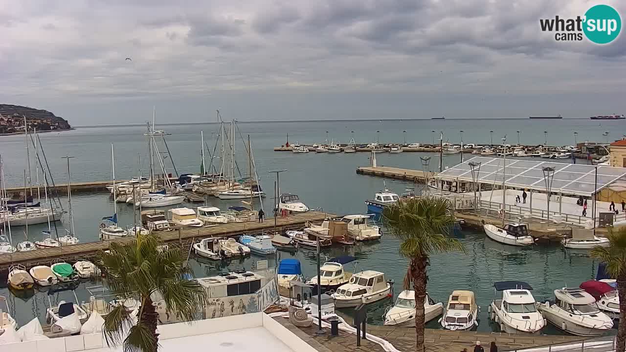 Spletna kamera Luka Koper v živo – Potniški terminal in tovorno pristanišče – Slovenija