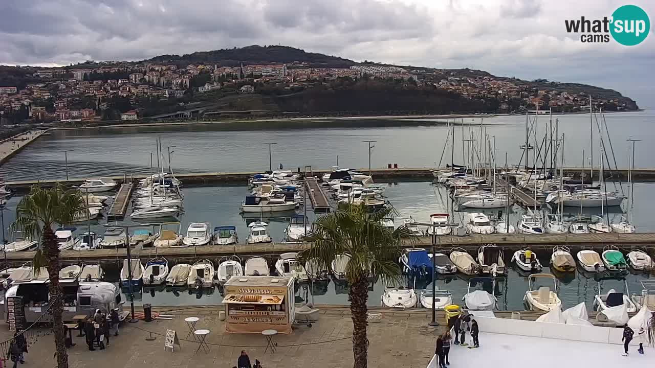 The Port of Koper live webcam – cruise and cargo port – Slovenia