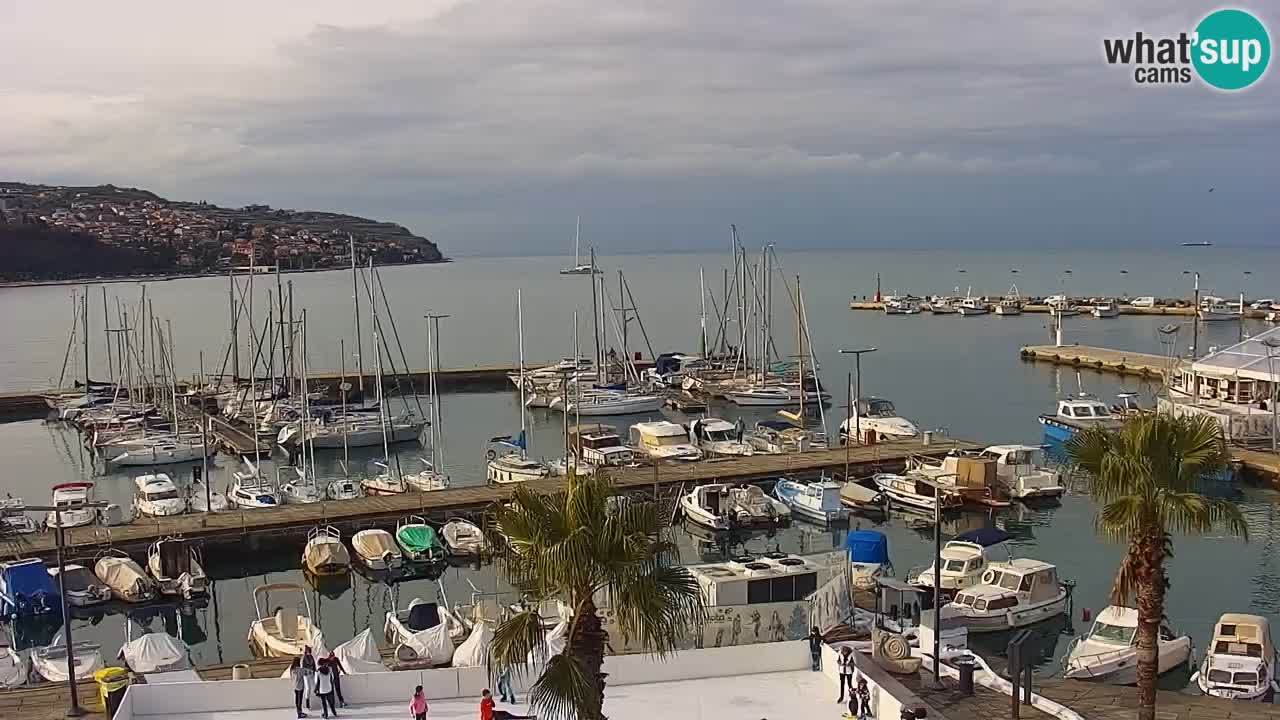 Webcam Koper – Panorama of the marina and promenade from the Grand Hotel Koper