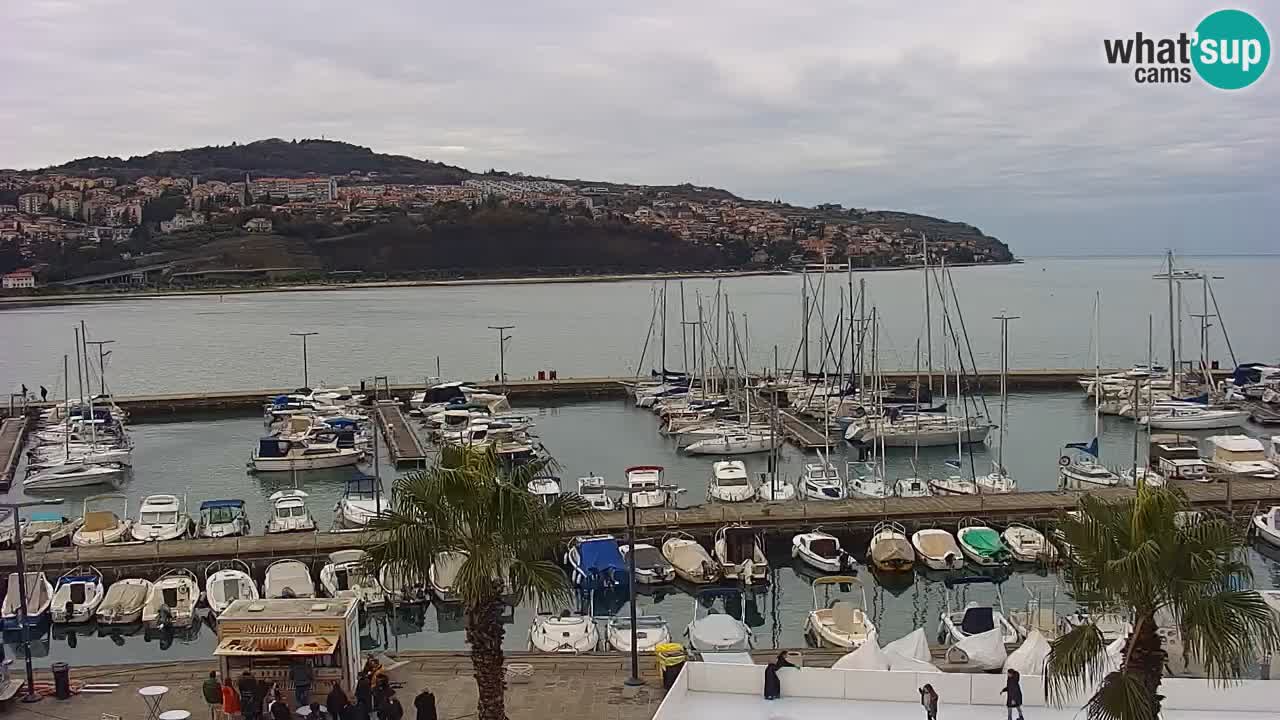 Webcam Koper – Panorama of the marina and promenade from the Grand Hotel Koper