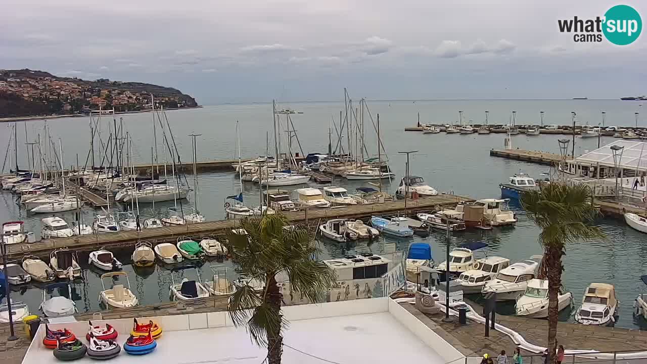 Webcam Koper – Panorama de la marina et de la promenade depuis le Grand Hotel Koper