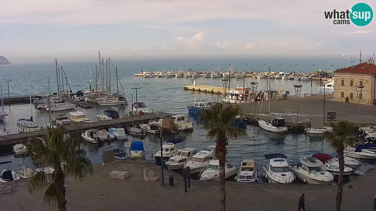 Webcam en direct du port de Koper – port de croisière et de fret – Slovénie