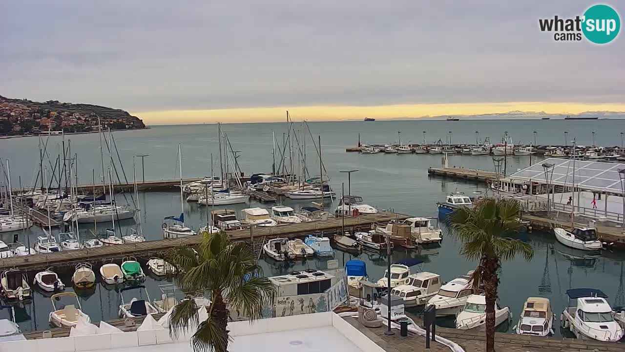 The Port of Koper live webcam – cruise and cargo port – Slovenia