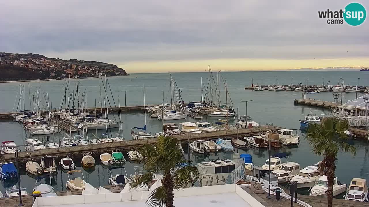 Webcam en direct du port de Koper – port de croisière et de fret – Slovénie