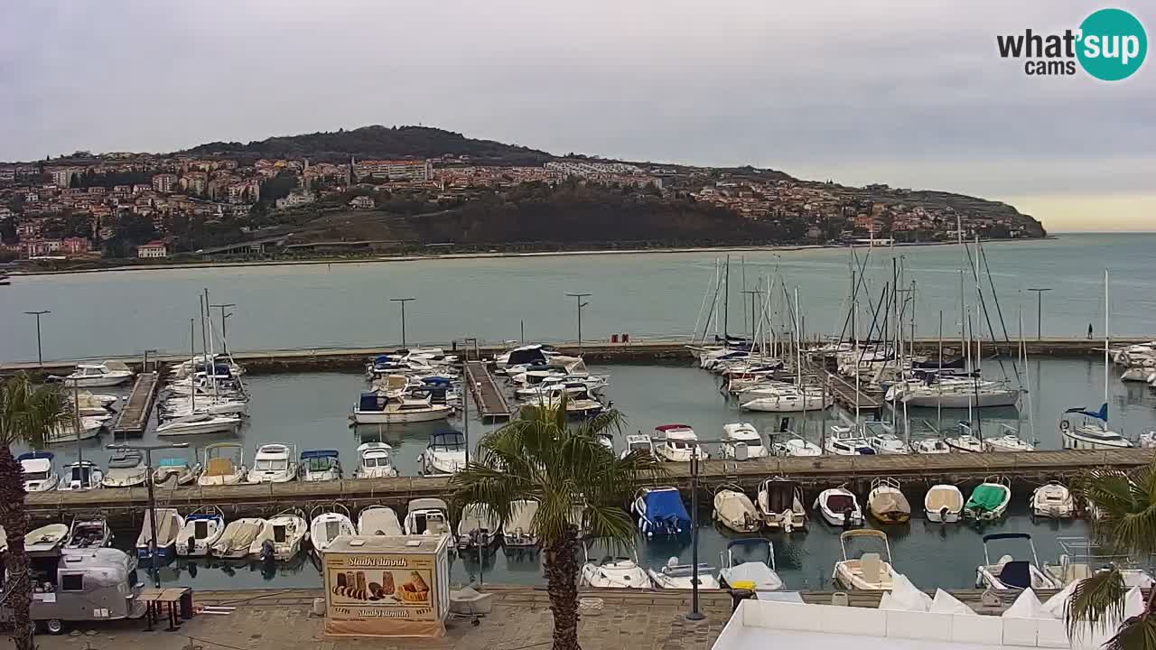 Der Hafen von Koper Live-Webcam – Kreuzfahrt- und Frachthafen – Slowenien