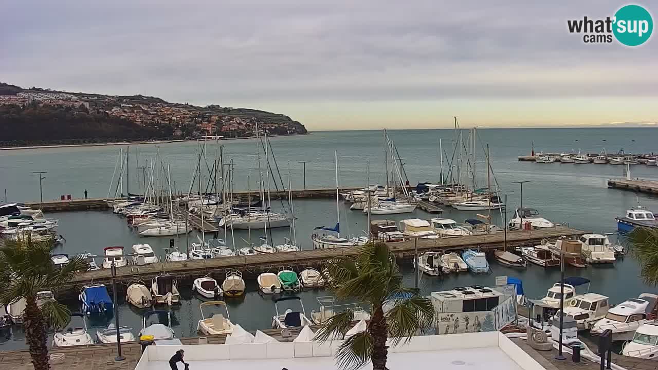 Webcam Koper – Panorama of the marina and promenade from the Grand Hotel Koper