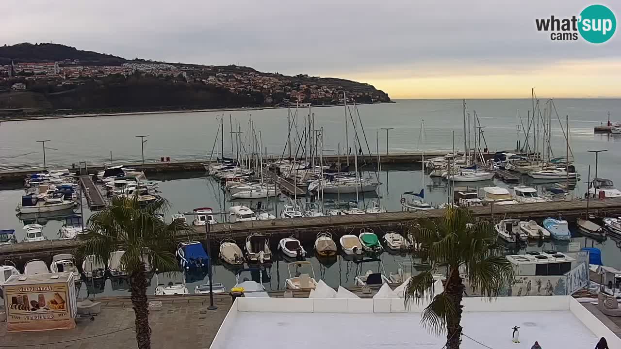 The Port of Koper live webcam – cruise and cargo port – Slovenia