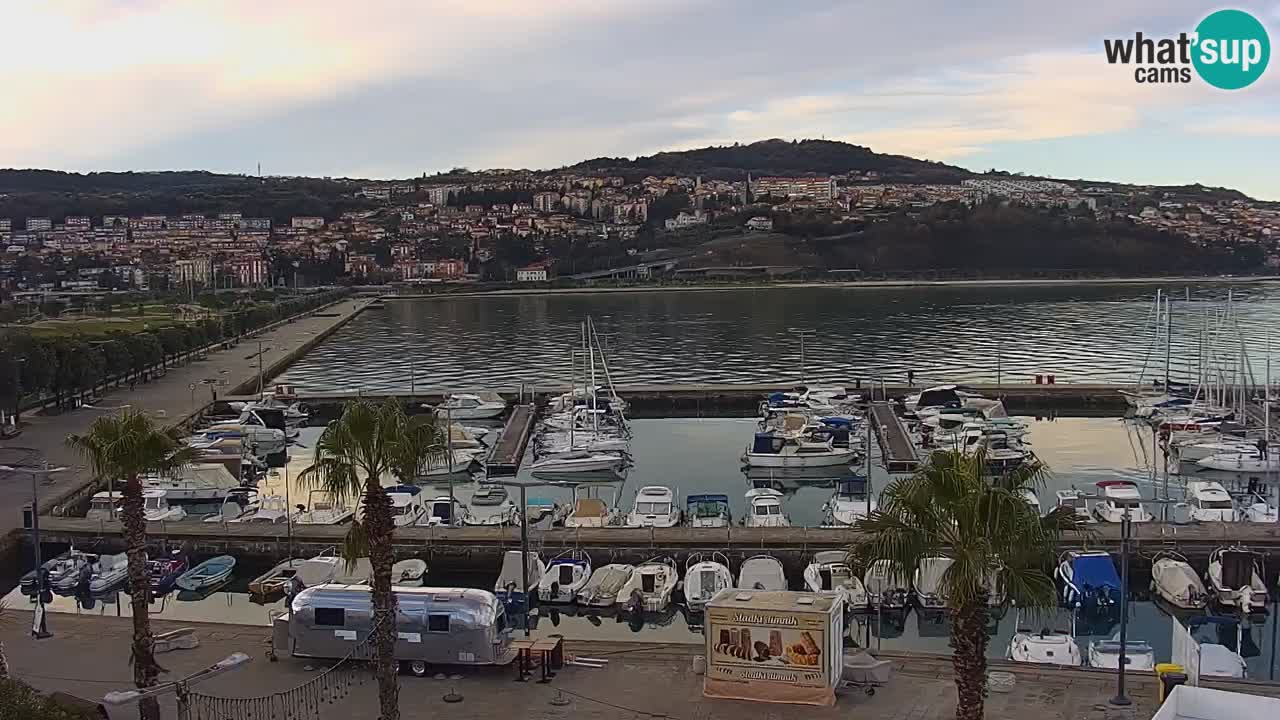 Livecam Koper – Ukmarjev trg