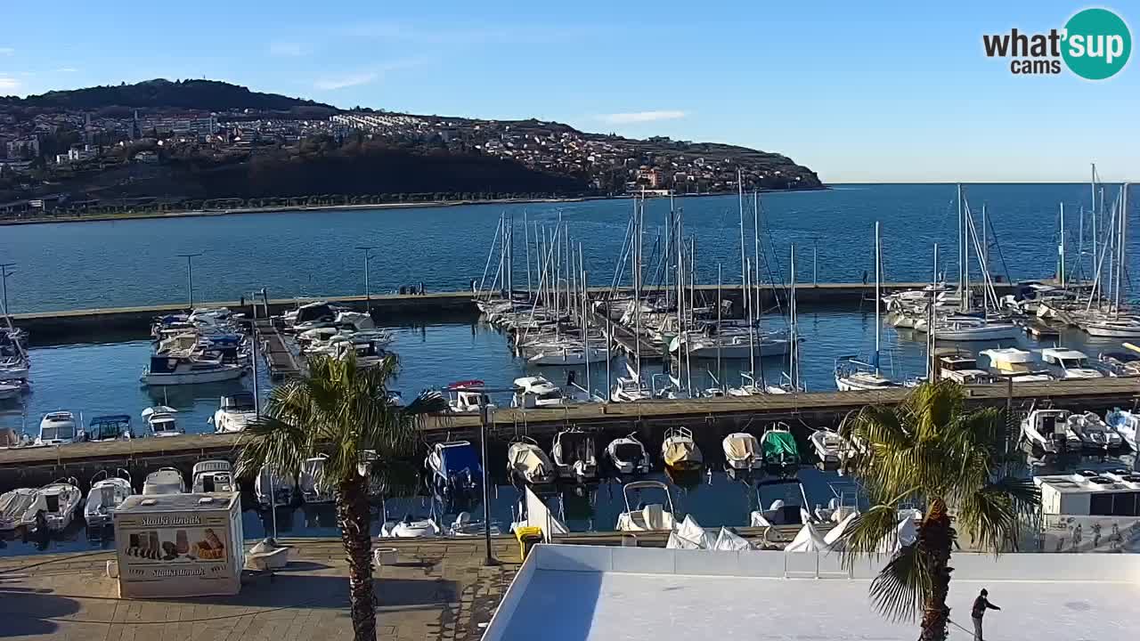 The Port of Koper live webcam – cruise and cargo port – Slovenia