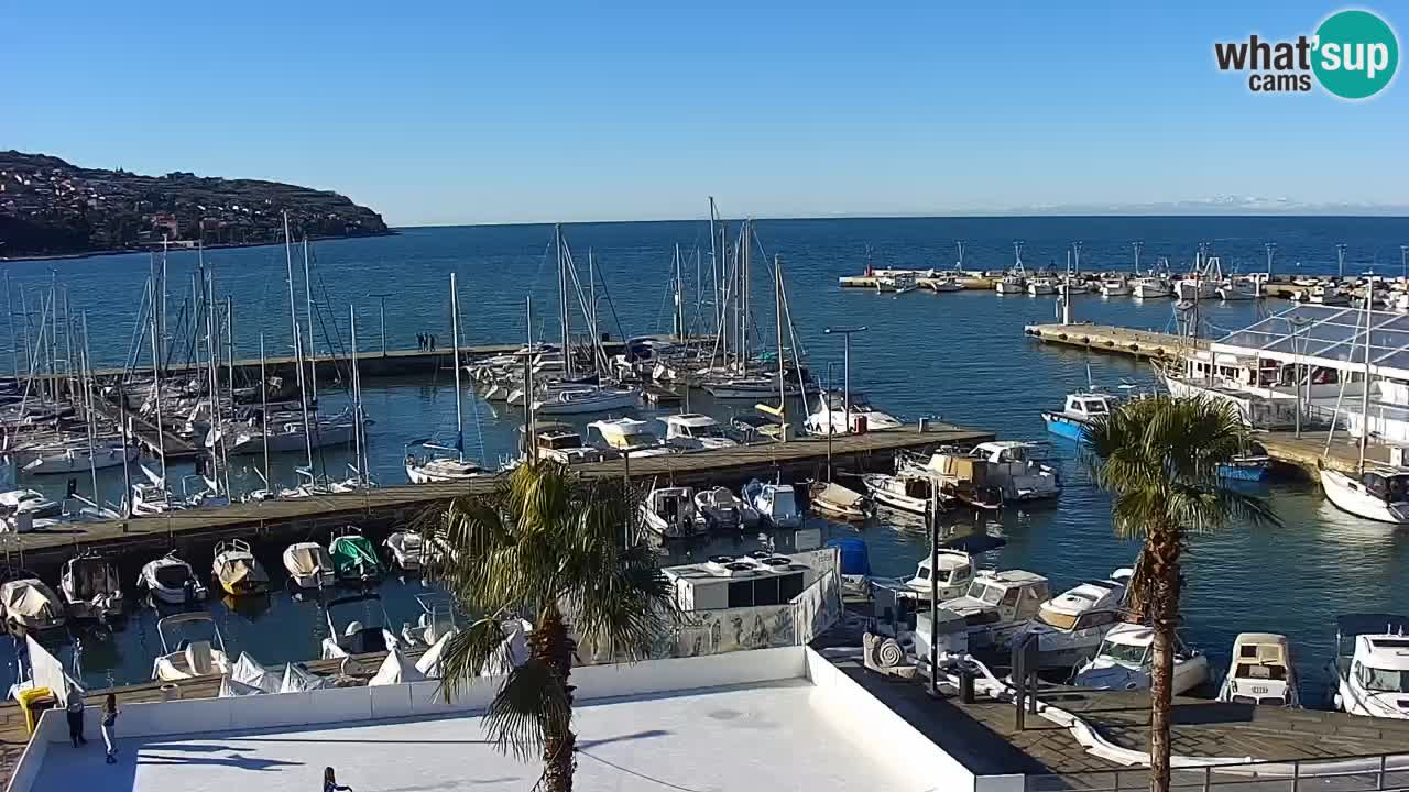 Webcam en direct du port de Koper – port de croisière et de fret – Slovénie