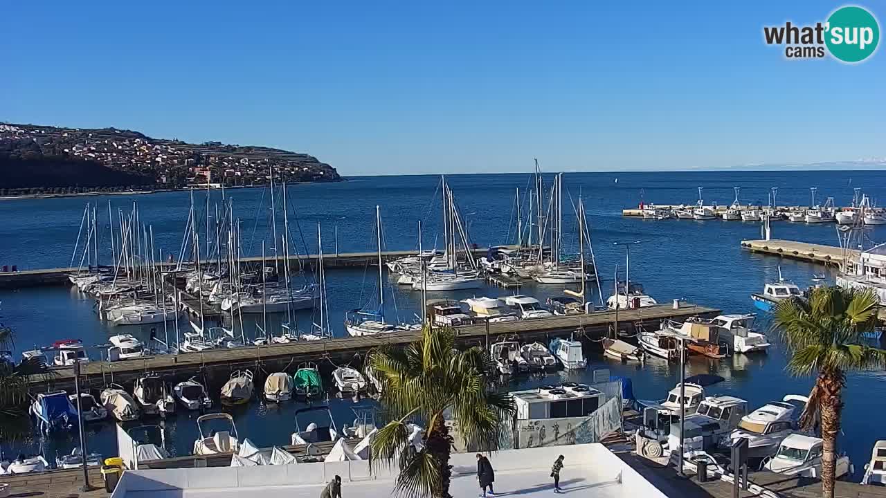 Il porto di Koper – Capodistria live webcam – porto crociere e mercantile – Slovenia