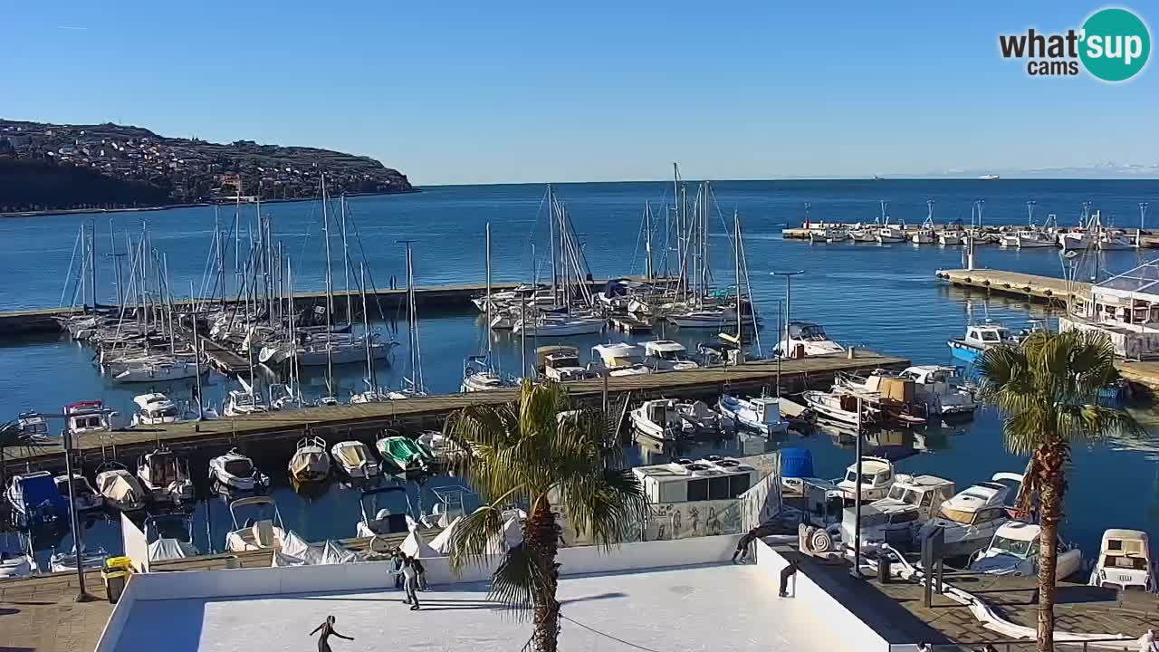 Camera en vivo Koper – puerto deportivo y paseo marítimo desde el Hotel Grand Koper