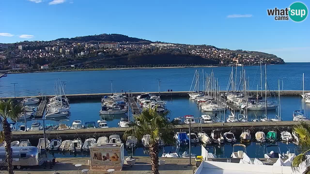 Spletna kamera Koper – Panorama na marino in promenado s Hotela Grand Koper