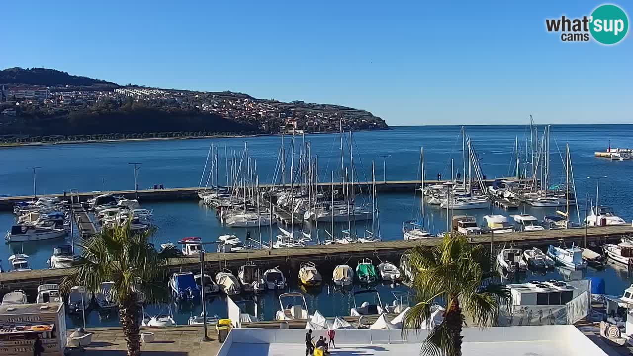 Der Hafen von Koper Live-Webcam – Kreuzfahrt- und Frachthafen – Slowenien