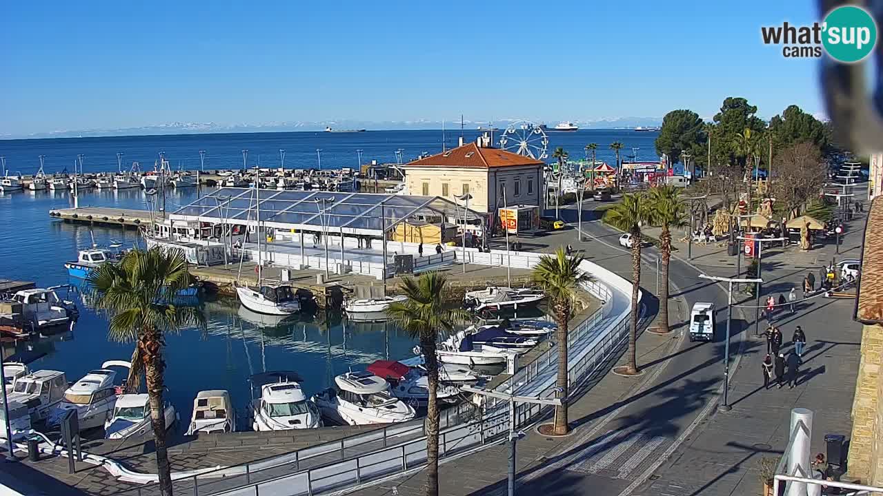 Luka Kopar uživo web kamera – Turistički terminal i teretna luka – Slovenija