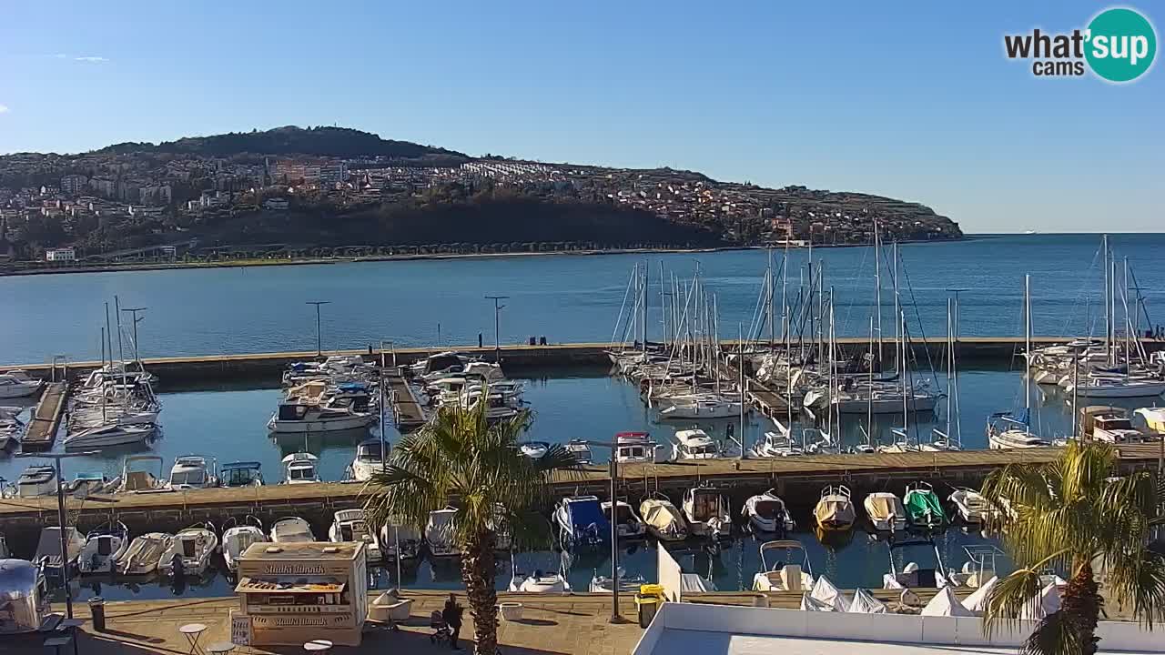 Webcam Koper – Panorama des Jachthafens und der Promenade vom Hotel Grand Koper