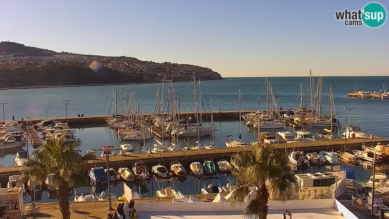 The Port of Koper live webcam – cruise and cargo port – Slovenia