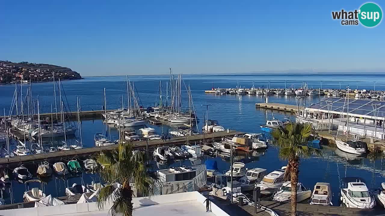 Webcam Koper – Panorama of the marina and promenade from the Grand Hotel Koper