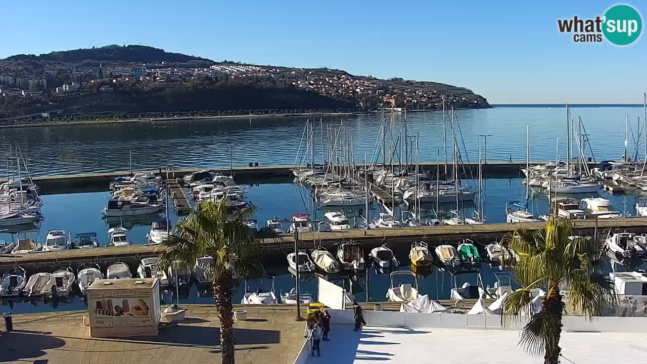 The Port of Koper live webcam – cruise and cargo port – Slovenia