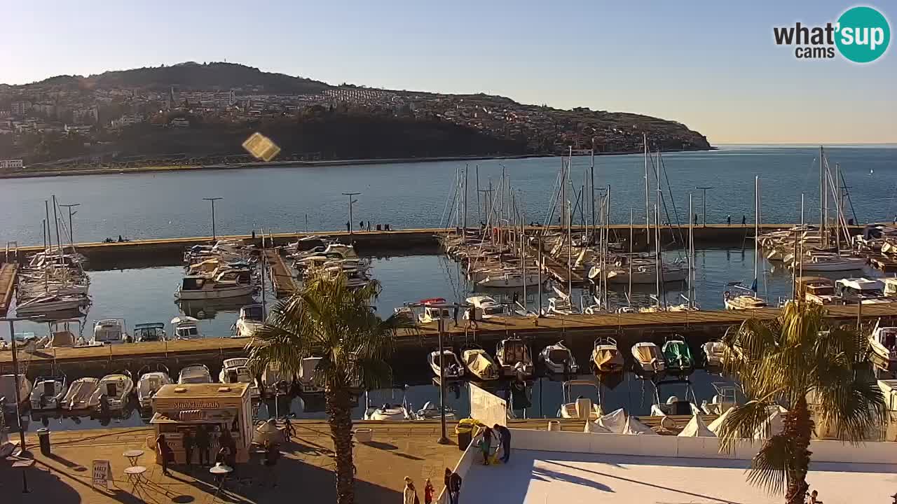 The Port of Koper live webcam – cruise and cargo port – Slovenia