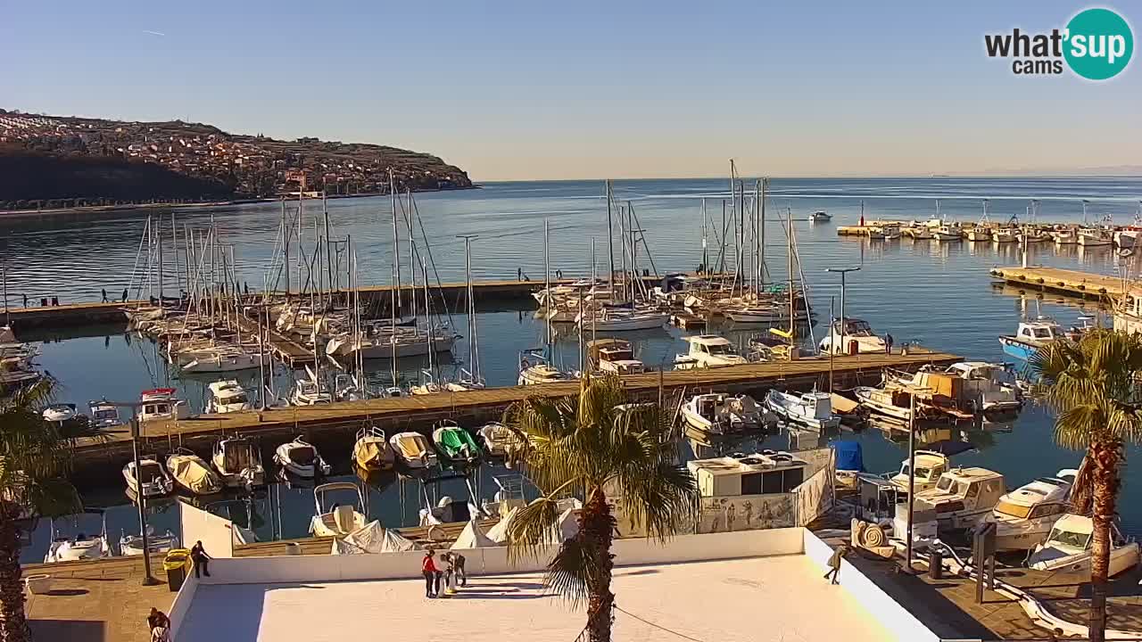 The Port of Koper live webcam – cruise and cargo port – Slovenia