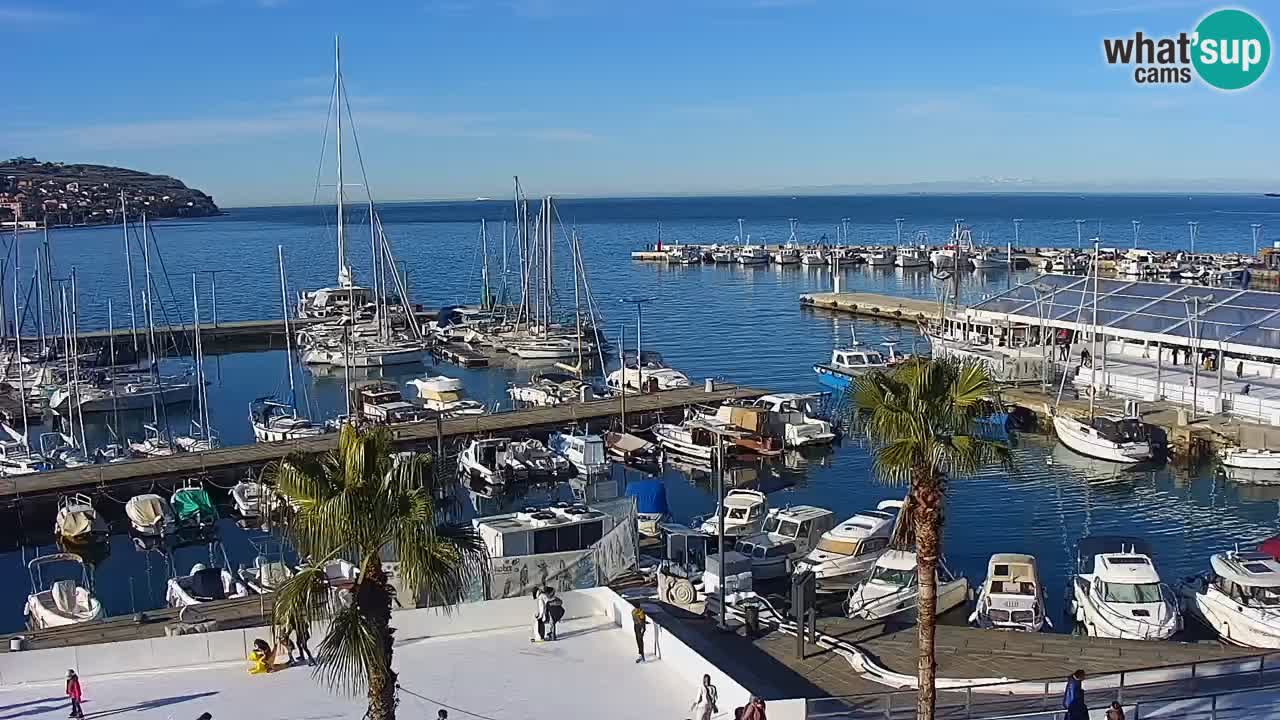 Webcam Koper – Panorama of the marina and promenade from the Grand Hotel Koper