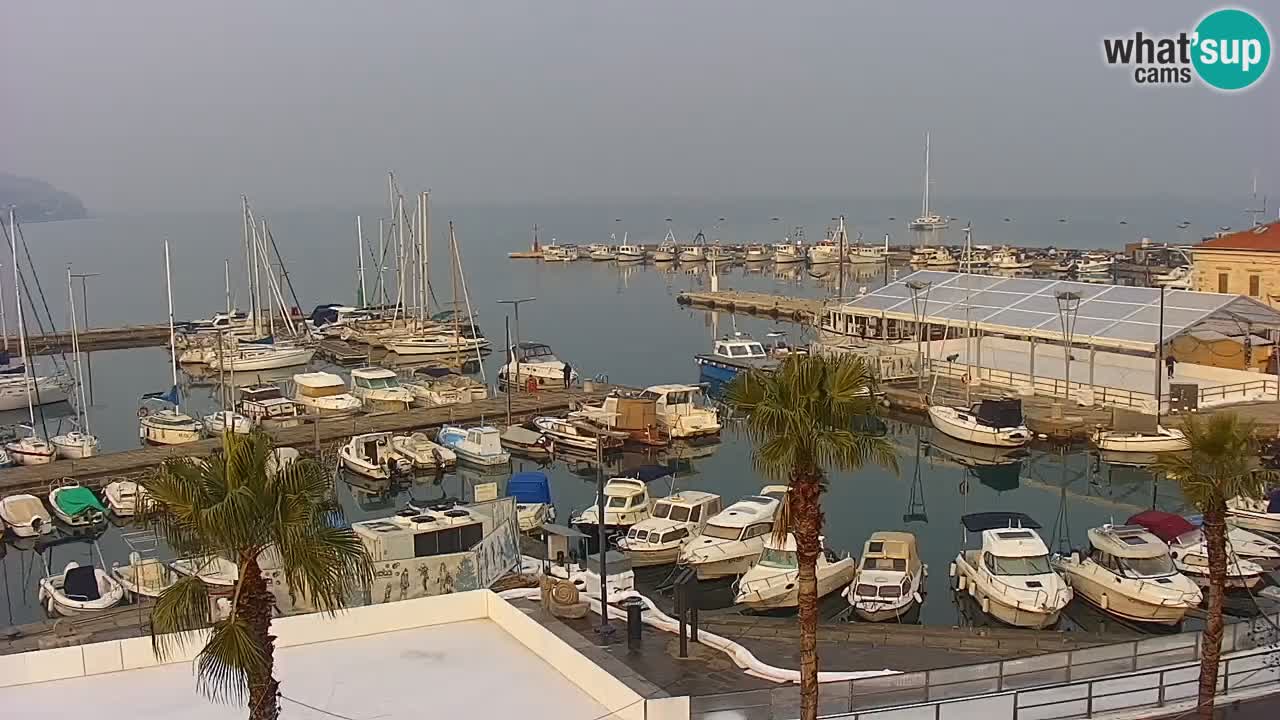 Webcam en direct du port de Koper – port de croisière et de fret – Slovénie