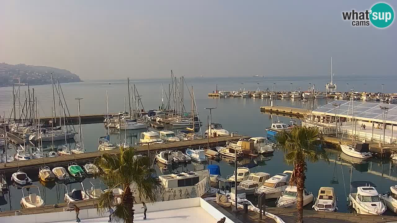 The Port of Koper live webcam – cruise and cargo port – Slovenia