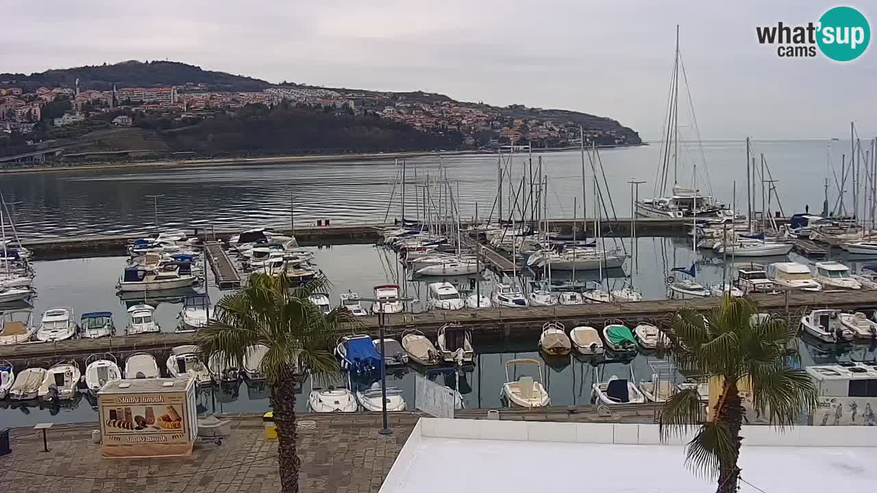 Webcam Koper – Panorama of the marina and promenade from the Grand Hotel Koper