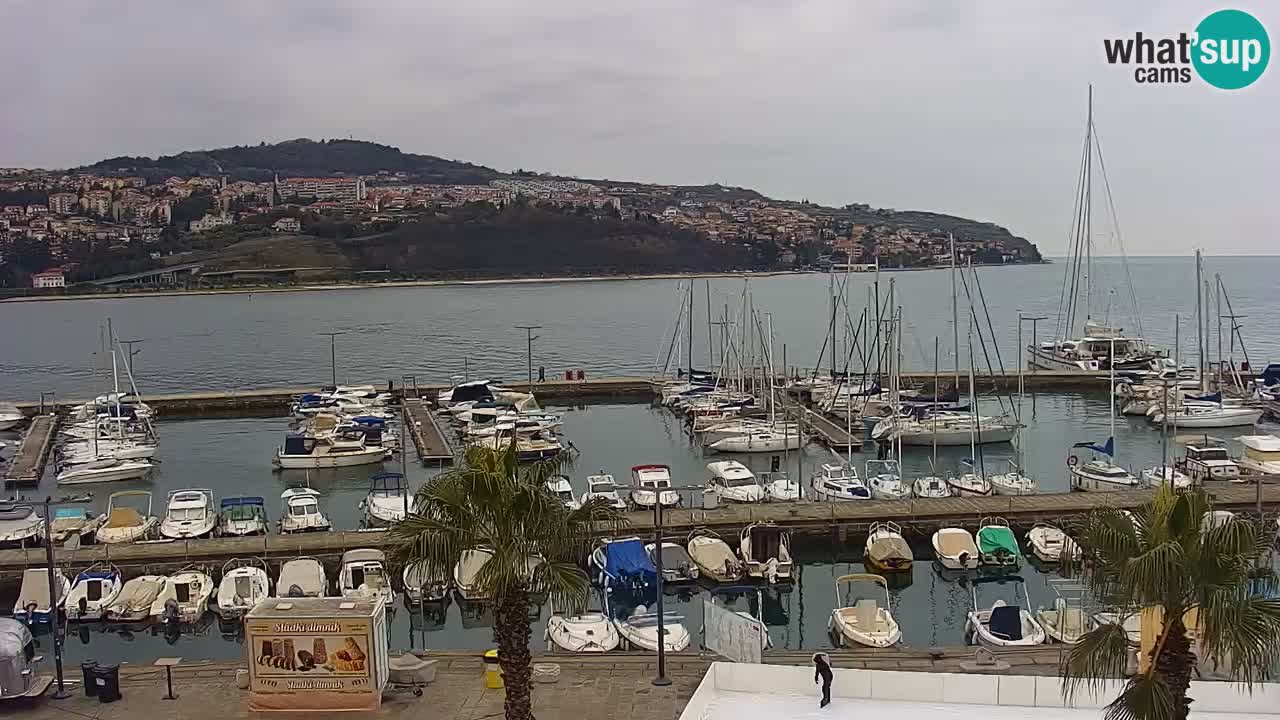 Spletna kamera Luka Koper v živo – Potniški terminal in tovorno pristanišče – Slovenija