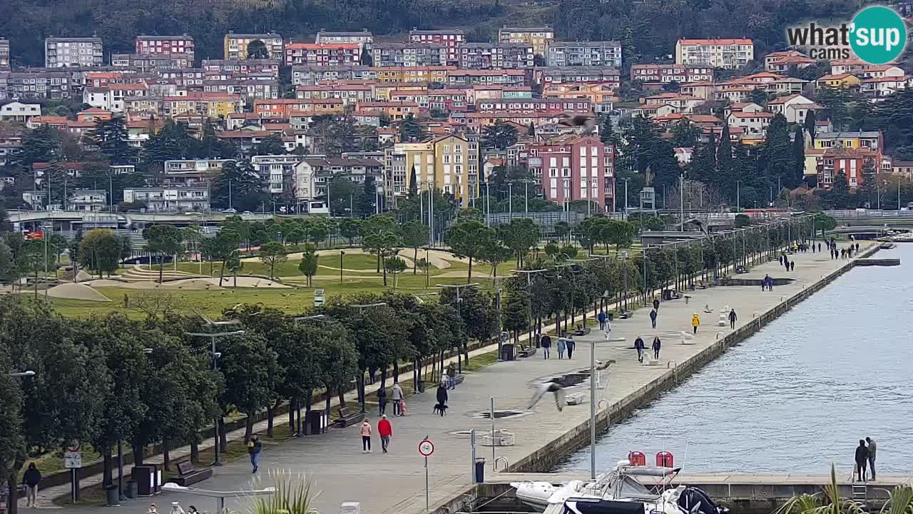 Webcam Koper – Panorama of the marina and promenade from the Grand Hotel Koper