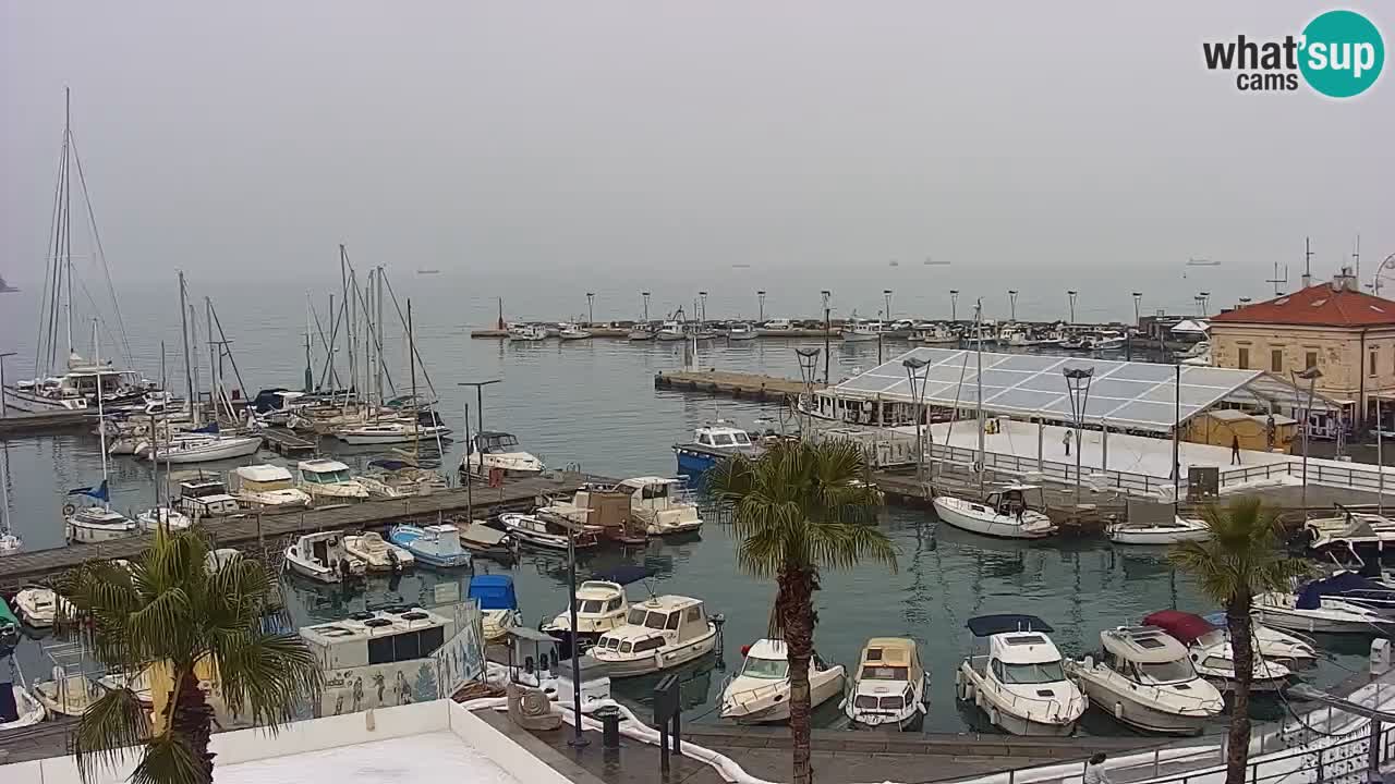 Webcam en direct du port de Koper – port de croisière et de fret – Slovénie