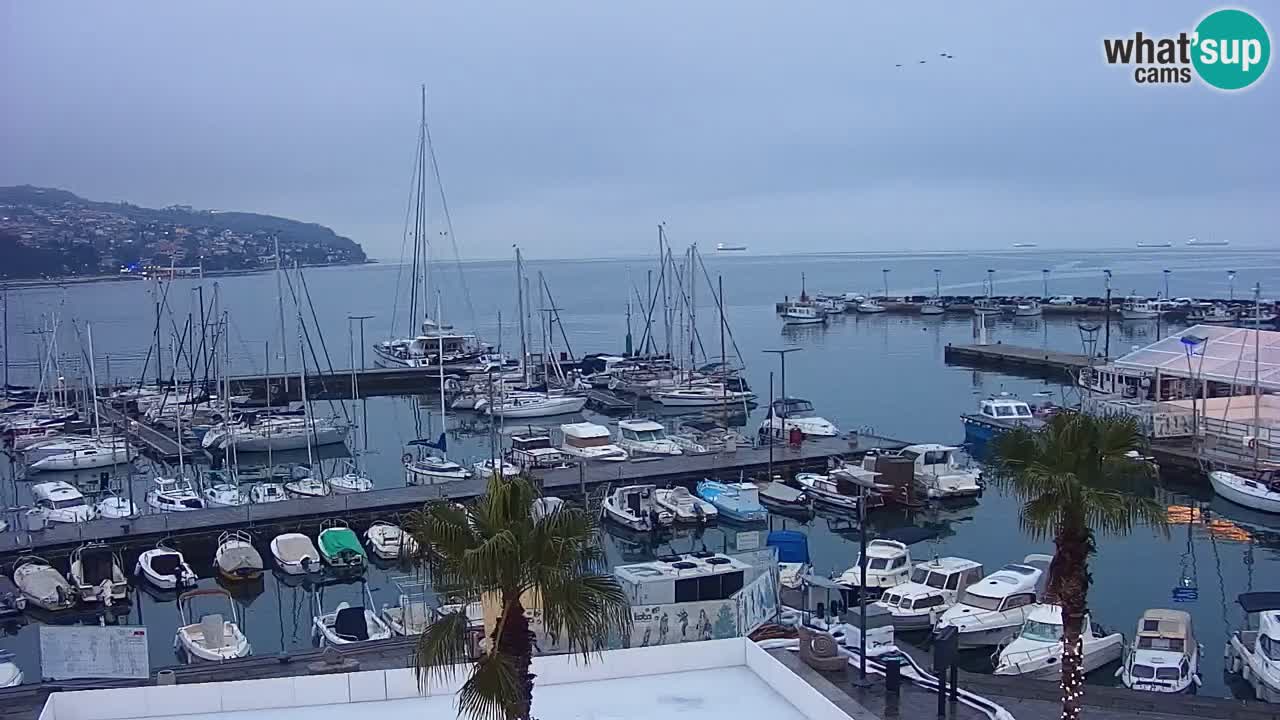 The Port of Koper live webcam – cruise and cargo port – Slovenia