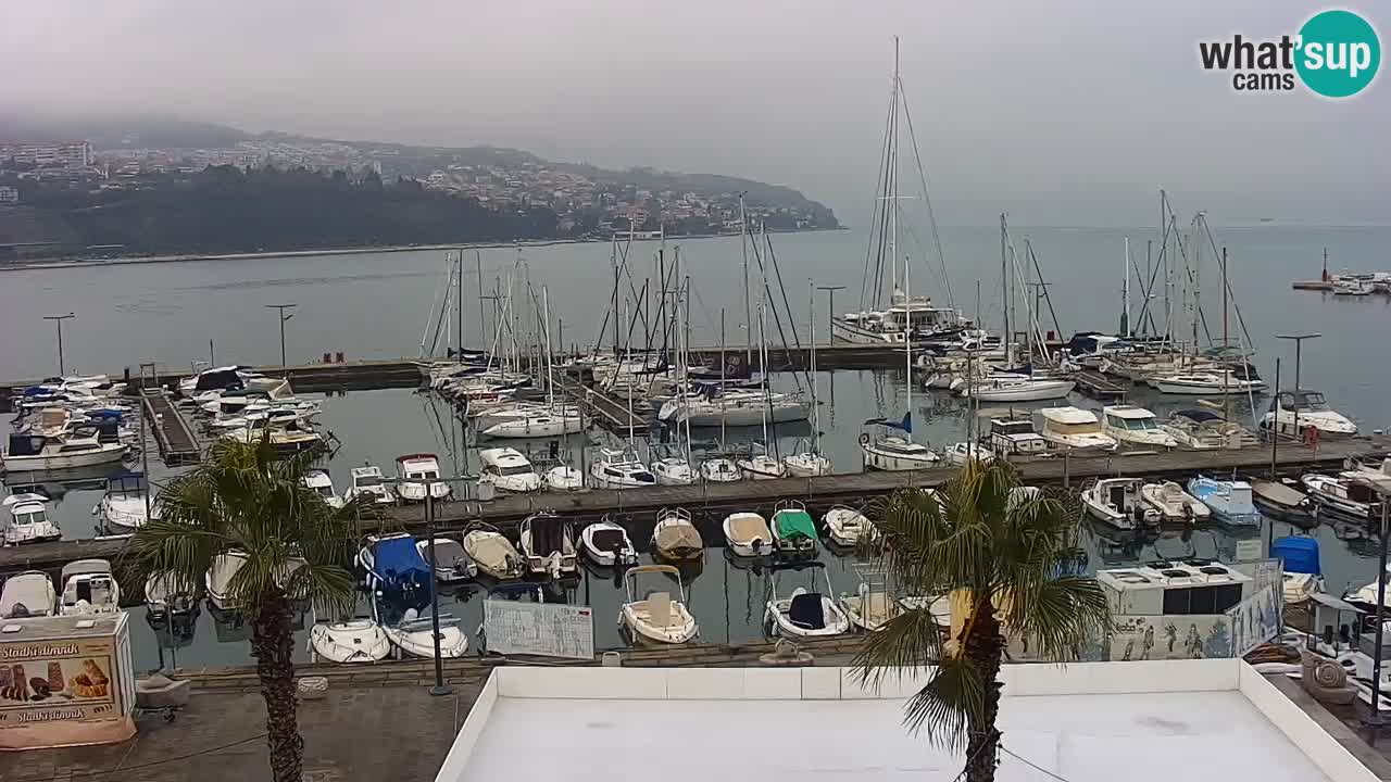 Der Hafen von Koper Live-Webcam – Kreuzfahrt- und Frachthafen – Slowenien