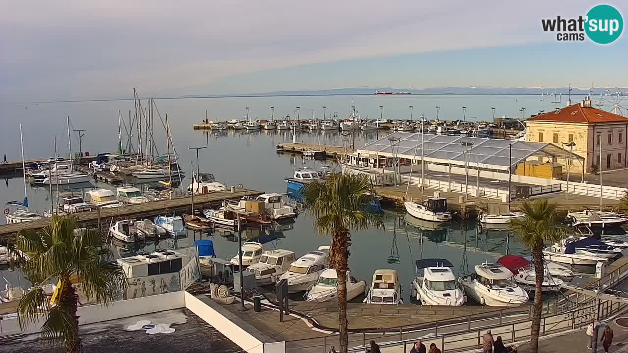 Spletna kamera Luka Koper v živo – Potniški terminal in tovorno pristanišče – Slovenija