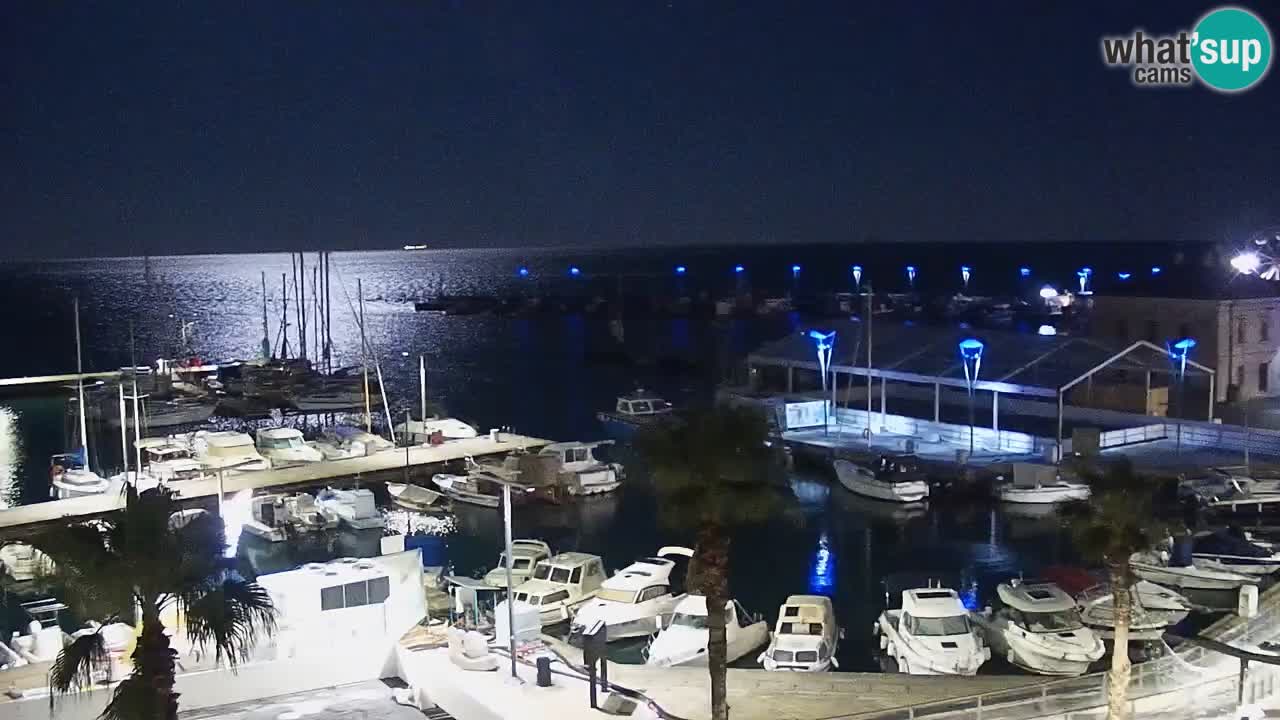 Webcam Koper – Ukmarjev trg