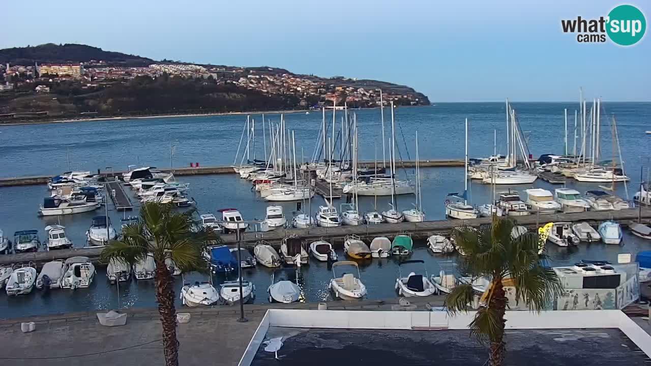 The Port of Koper live webcam – cruise and cargo port – Slovenia