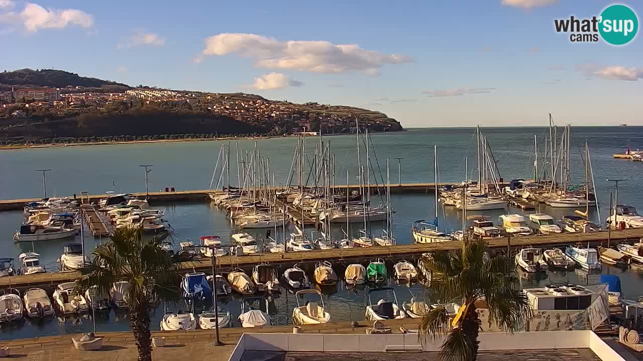 Spletna kamera Luka Koper v živo – Potniški terminal in tovorno pristanišče – Slovenija