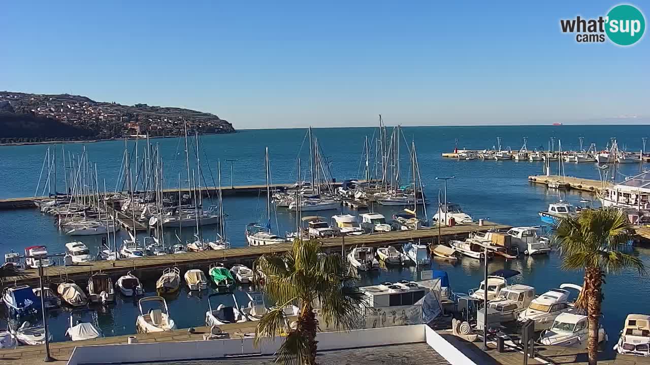 The Port of Koper live webcam – cruise and cargo port – Slovenia