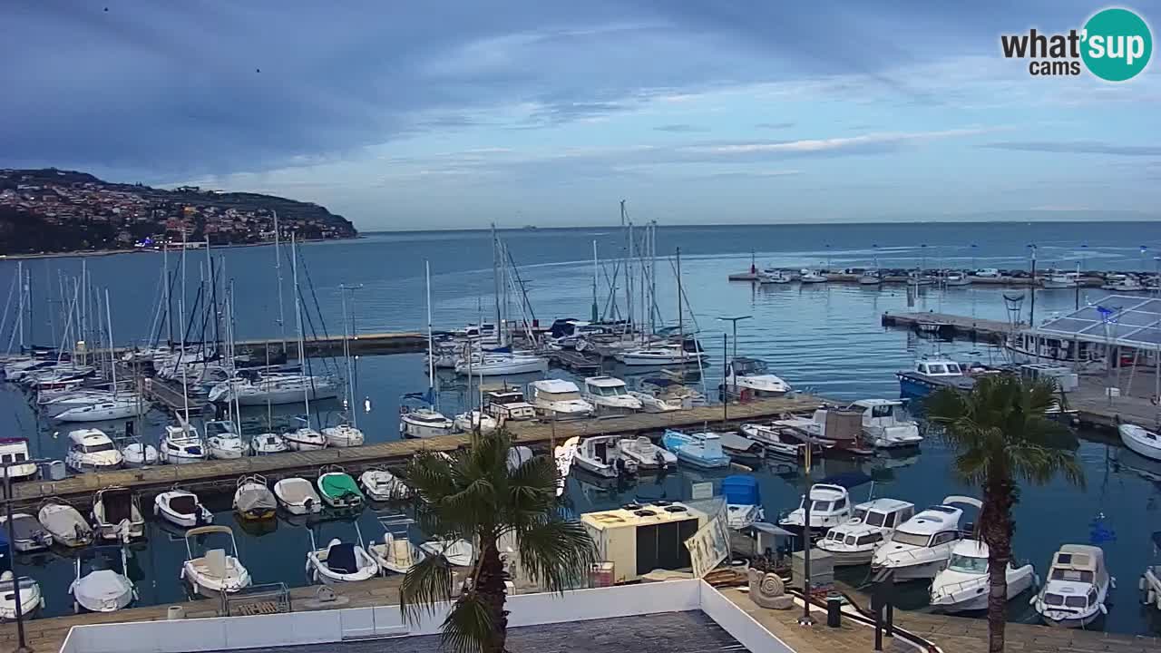 Webcam Koper – Panorama of the marina and promenade from the Grand Hotel Koper