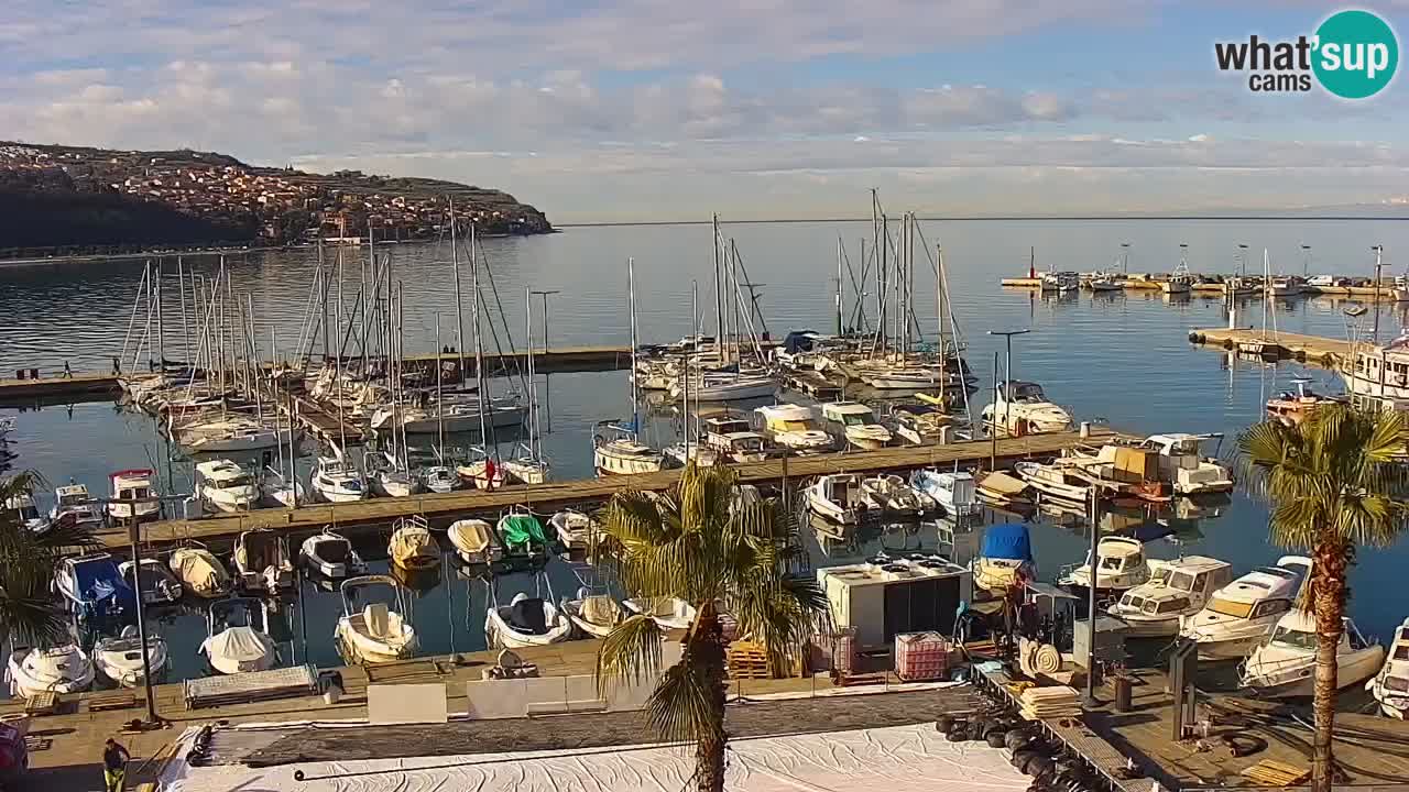 The Port of Koper live webcam – cruise and cargo port – Slovenia