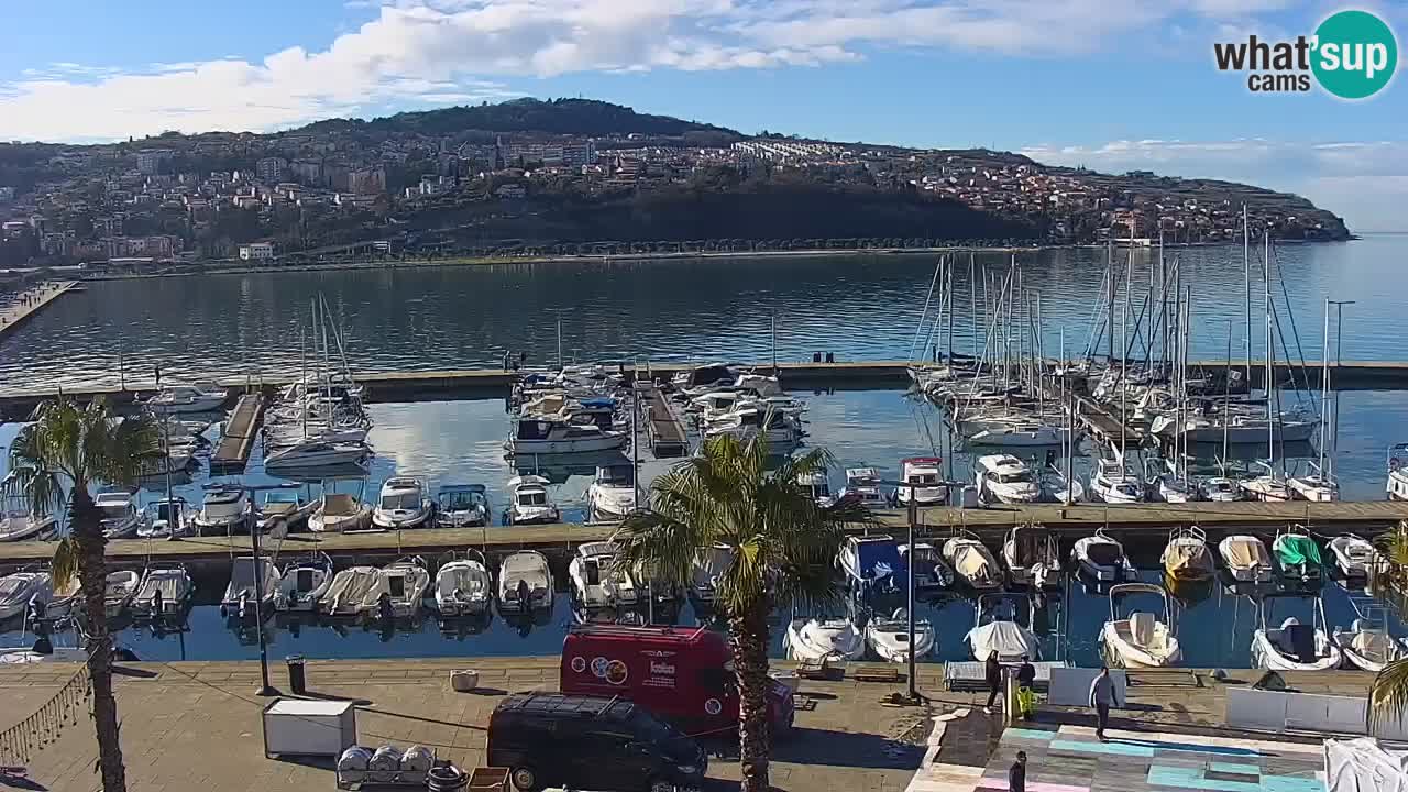 Livecam Koper – Ukmarjev trg