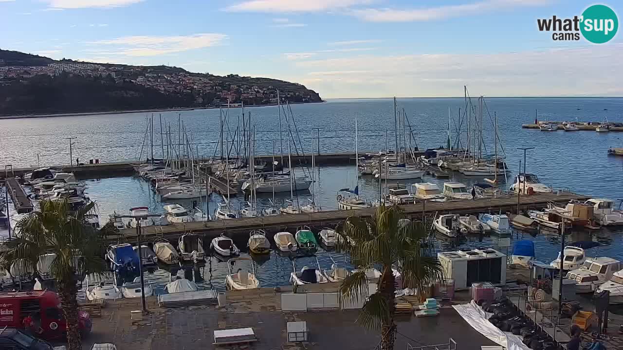 Webcam Koper – Panorama of the marina and promenade from the Grand Hotel Koper