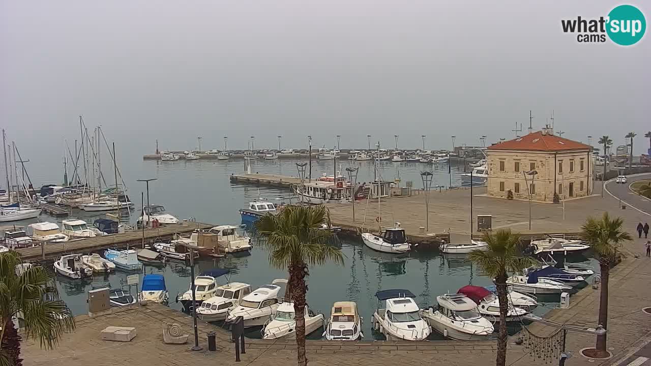 Camera en vivo Koper – puerto deportivo y paseo marítimo desde el Hotel Grand Koper