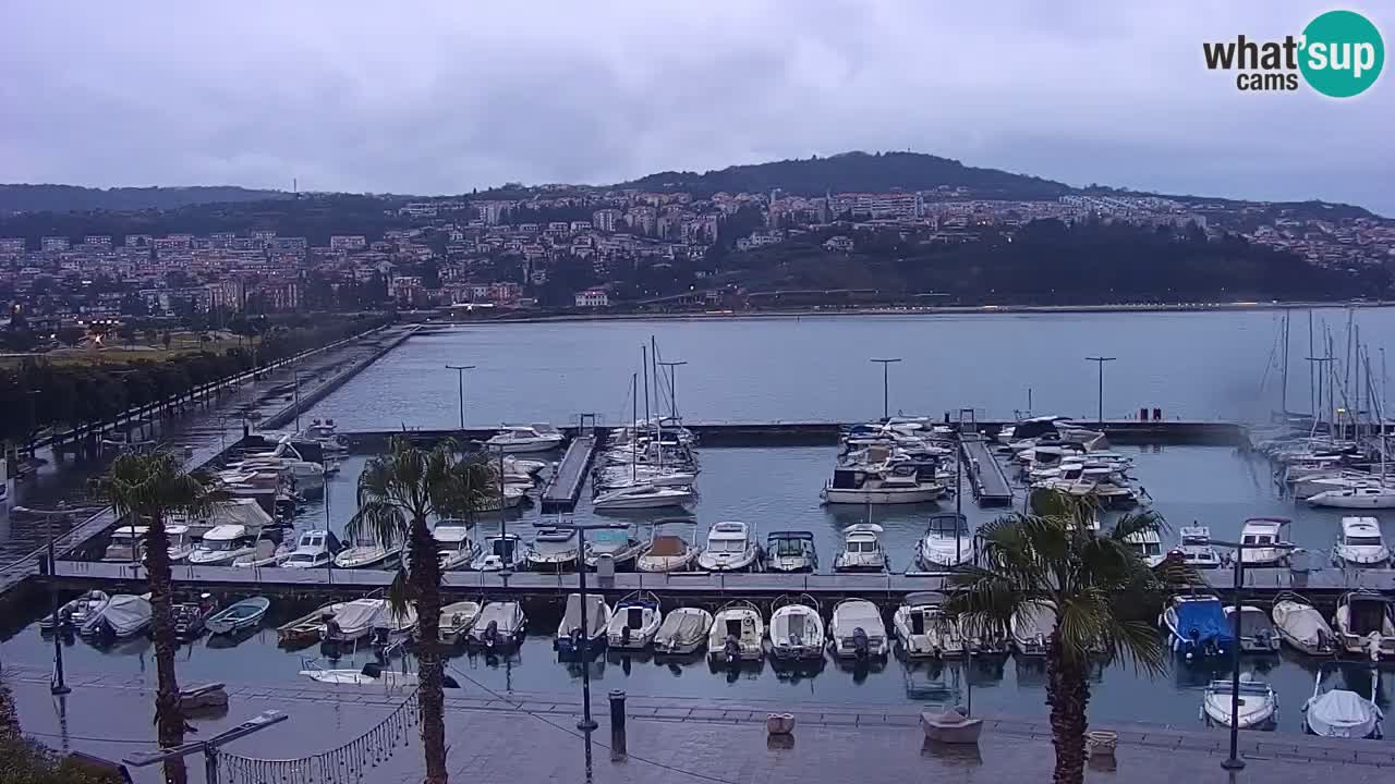 Spletna kamera Koper – Panorama na marino in promenado s Hotela Grand Koper