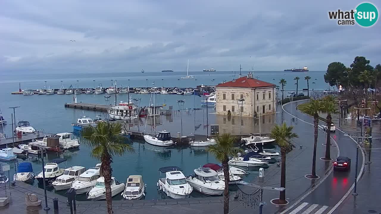 Spletna kamera Koper – Panorama na marino in promenado s Hotela Grand Koper