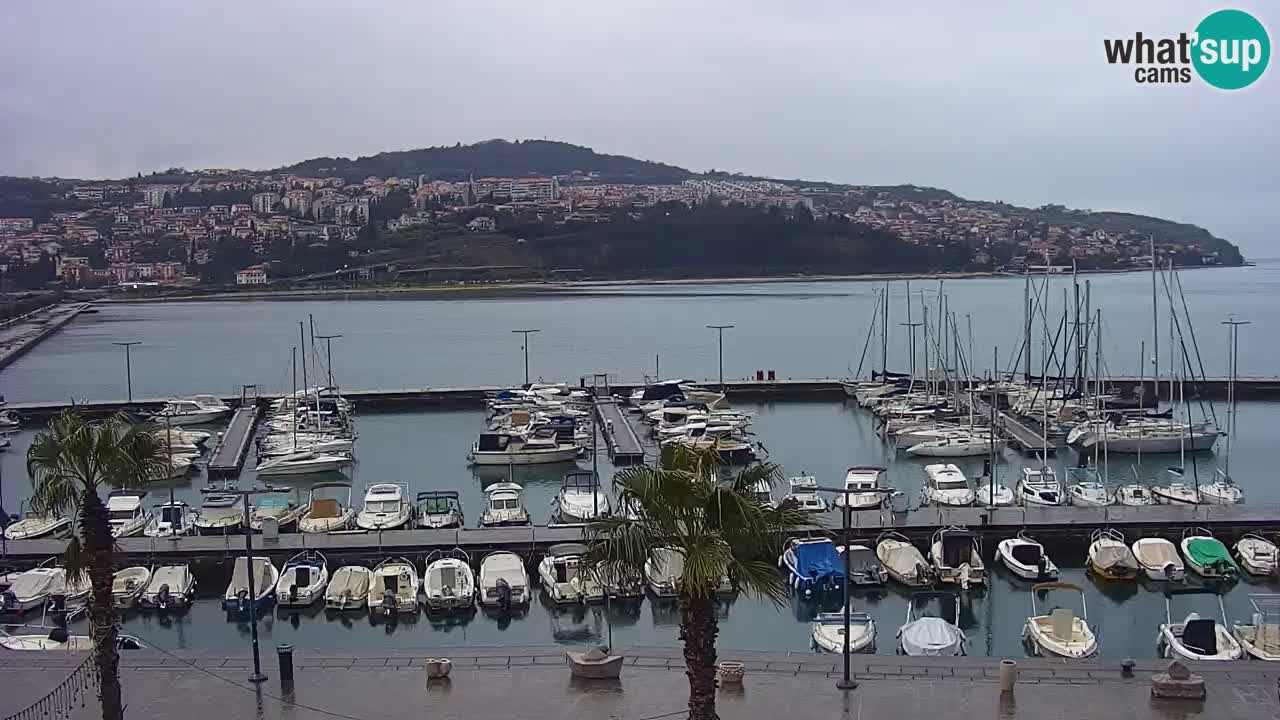 Webcam Koper – Panorama des Jachthafens und der Promenade vom Hotel Grand Koper