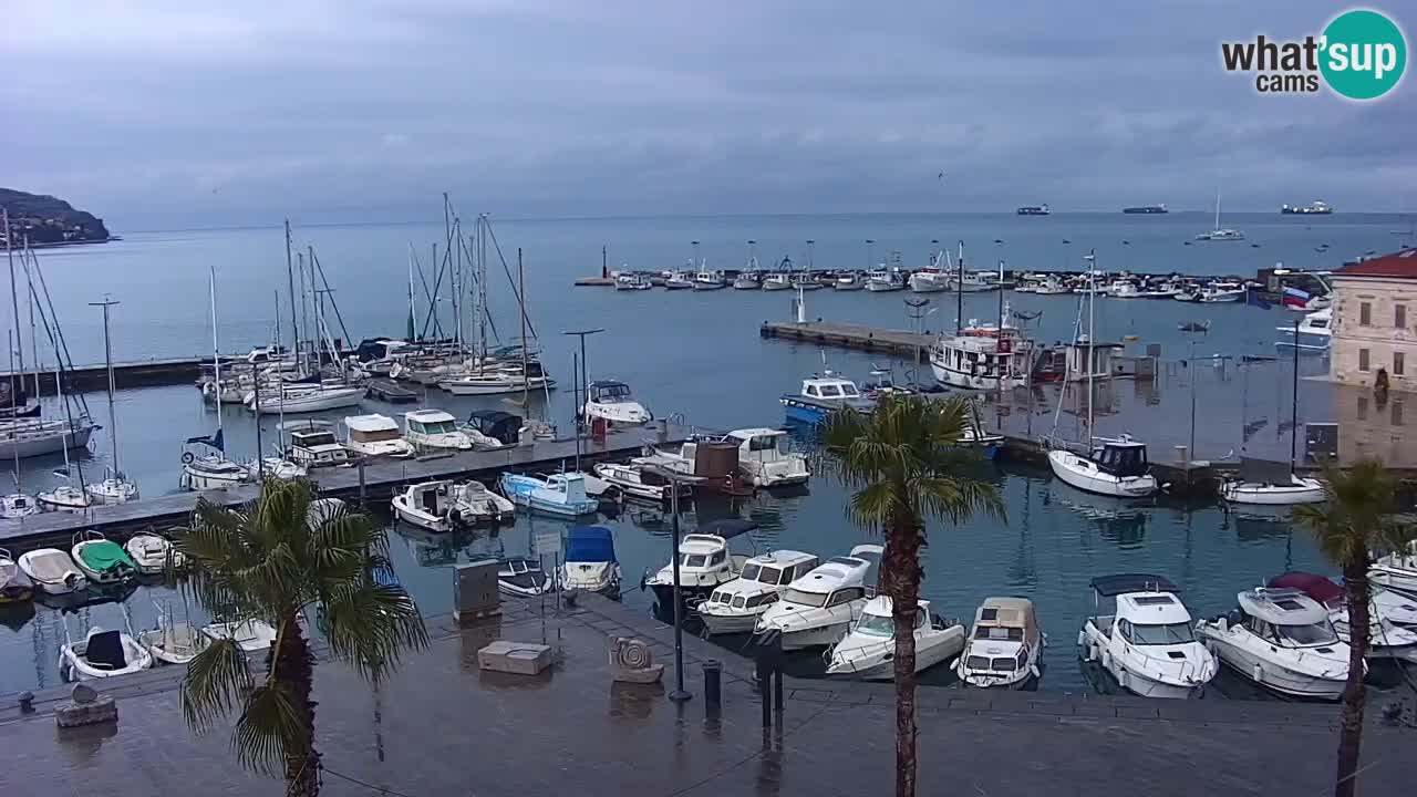 Webcam Koper – Panorama des Jachthafens und der Promenade vom Hotel Grand Koper