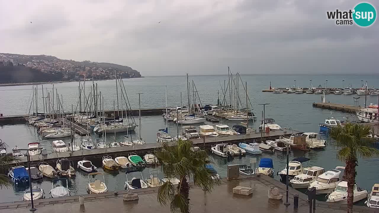 Webcam Capodistria – Piazza Ukmar